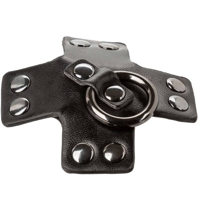 CALEXOTICS - EUPHORIA O-RING ZWART