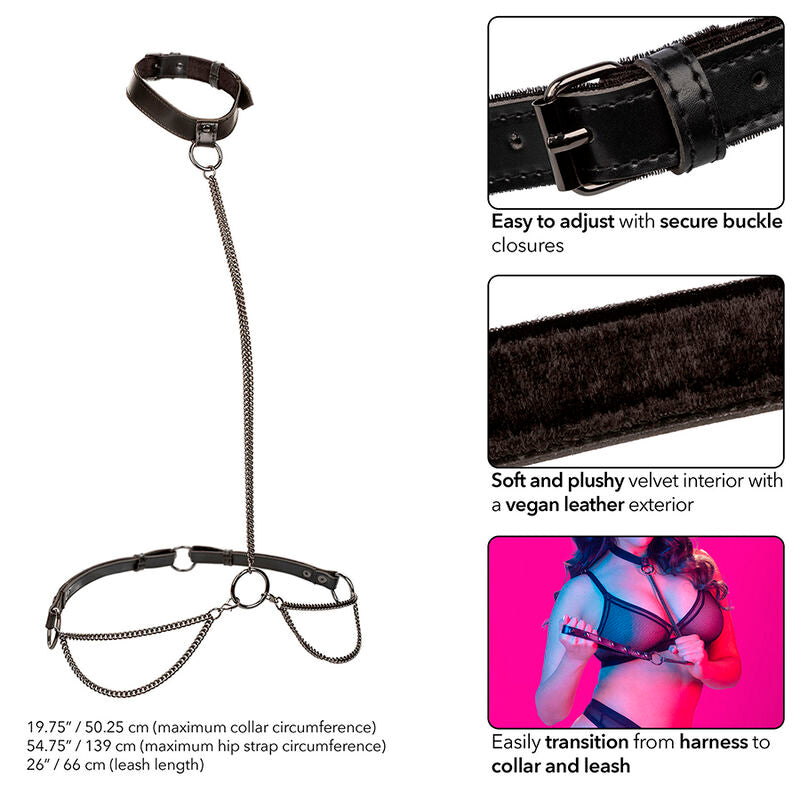 CALEXOTICS - EUPHORIA KETTING HALTERKRAAG & RIEM GROTE MATEN