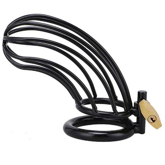 METAL HARD - BLACK BIRD KUISHEIDS RING KOOI